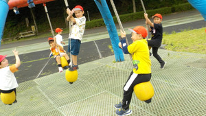 1_dscn5374
