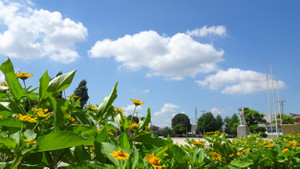 1_dsc04123