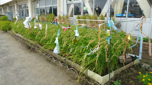 1_dsc04232