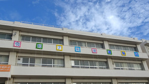 1_dsc05131