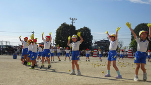 1_dsc05233