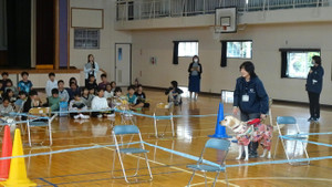 1_dsc05852