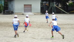 1_dsc01271