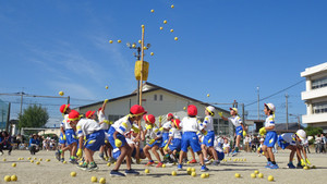 1_dsc02634
